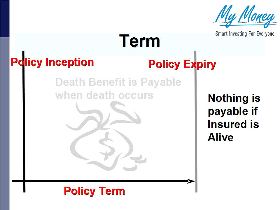 Slide 11