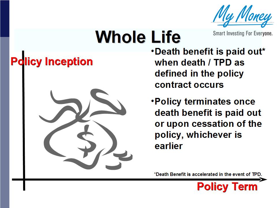 Slide 8